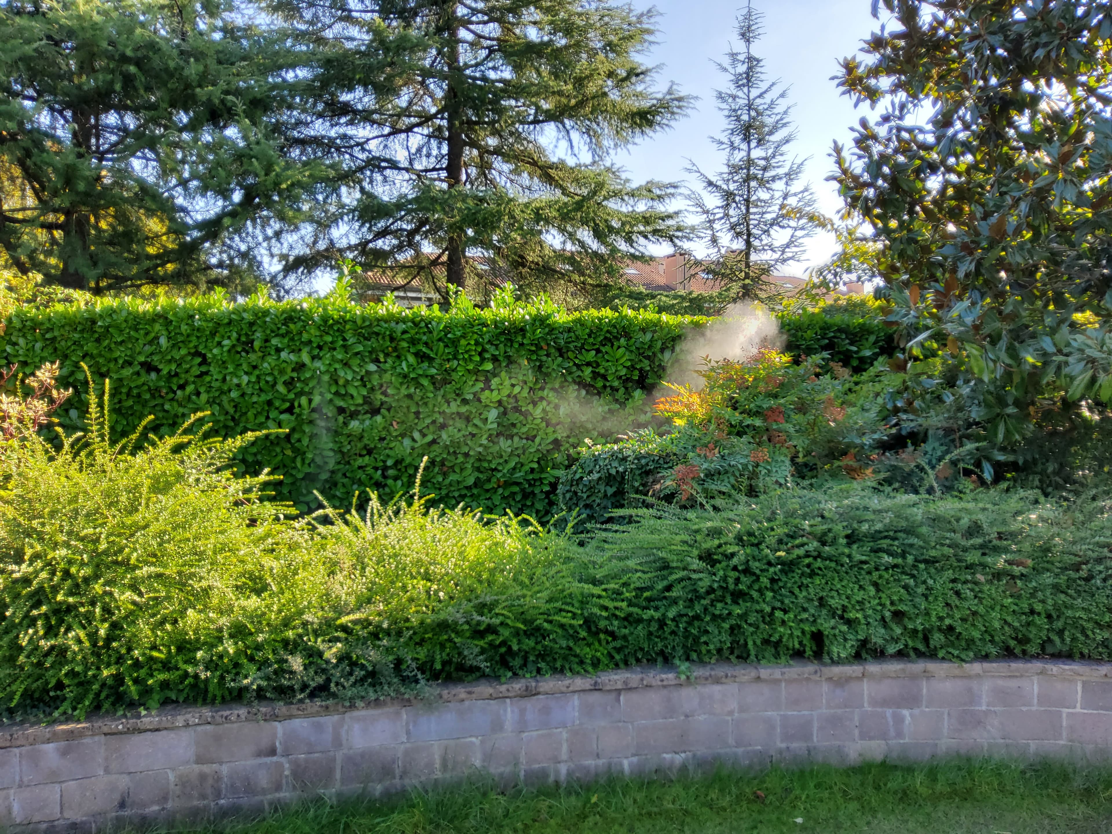 Giardino residenziale con siepe curata e alberi, protetto da un impianto di nebulizzazione