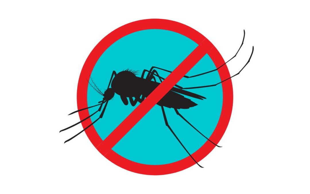 Come evitare che le zanzare si riproducano nella mia proprietà